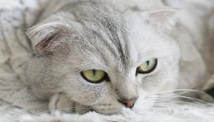 图木舒克伴游,定制QQ:3494206190微信:act1322